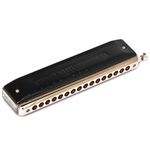 Gaita Hering Cromática Deluxe Gold 64 C Dó 6264C Com Case