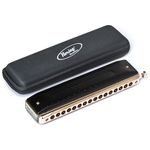 Gaita Hering Cromática Deluxe Gold 64 C Dó 6264C Com Case