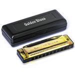 Gaita Hering Diatonica Golden Blues G Sol 5020G Com Case