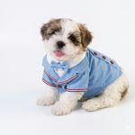 ROUPINHA P/ CACHORRO CD-39
