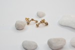 Brinco Constellation de Cristal folheado em ouro 18K