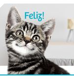 Alimento Úmido Super Premium Tikicat Afterdark Para Gatos - Ração Petisco - Frango