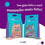 Areia Sanitária De Tofu Higiênica Para Gatos Carvão De Bambu 2.1kg Wicat