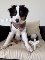 Biobone Asterisco Osso Mordedor Cachorro Cães Grandes Natural - Cana
