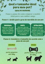 Biobone Asterisco Osso Mordedor Cachorro Cães Grandes Natural - Cana