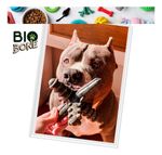 Biobone Asterisco Osso Mordedor Cachorro Cães Grandes Natural - Madeira