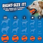 Brinquedo Chuckit Para Cães Bola Ultra Ball Extra Grande Cor Laranja