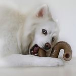 Brinquedo De Roer Benebone Tripe Bone Para Cachorro Médio Cor Marrom-claro