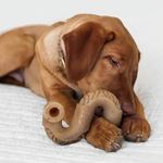 Brinquedo De Roer Benebone Tripe Bone Para Cachorro Médio Cor Marrom-claro