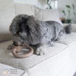 Brinquedo Mordedor Osso Benebone Ring Bacon Para Cachorro P Cor Marrom