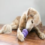 Brinquedo Mordedor Recheável Para Cães Idosos Kong Senior M Cor Roxo