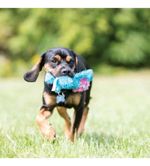 Brinquedo Pelúcia Cachorros Kong Cozie Ultra Tex - Azul-celeste - Cachorro Baily Dog Cozie ZY21