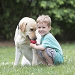 Brinquedo Recheável Para Cães Kong Classic X-large