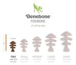 Brinquedo Roer Benebone Tiny 2-pack Fishbone Cães Até 7kg Cor Marrom