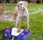 Briquedo Interativo Com Água Para Cachorros Fonte Bebedouro - Amarelo