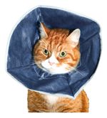 COLAR ELIZABETANO SOFT GATOS/CAES BUSTER UNITARIO