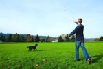 Jogando Bolas Para Cães Chuckit Sport Large Orange Ball