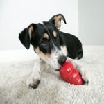 Kong Classic Large Grande Brinquedo Dispenser Para Cães Cor Vermelho