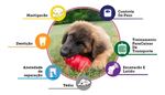 Kong Classic Medium Brinquedo Para Cães Cor Vermelho