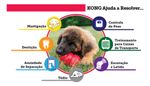 Kong Extreme X Large Brinquedo Cães Tamanho Grande Pet