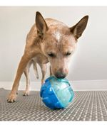 Kong Rewards Ball Small Libera Petisco Brinquedo Para Cães Cor Azul