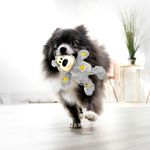 Kong Wild Knots Urso Pelúcia Para Cães Brinquedo Pet P Small