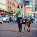 Lançador De Bolinhas Para Cachorro Divertida Fácil Chuckit