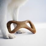 Mordedor Para Cães Benebone Dental Chew Bacon Médio