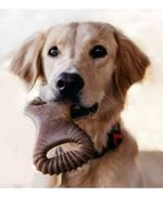 Mordedor Para Cães Benebone Dental Chew Bacon Médio