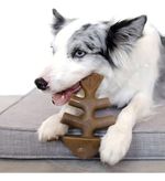Mordedor Para Cães Benebone Fishbone Salmão Grande
