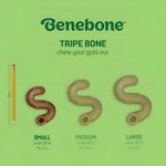 Mordedor Para Cães Benebone Tripe Bone Pequeno