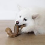 Mordedor Para Cães Benebone Tripe Bone Pequeno