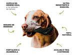 Ossinho Pequeno Biobone Extra Forte Cães Pequenos - Laranja