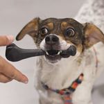 Ossinho Pequeno Biobone Extra Forte Cães Pequenos - Madeira