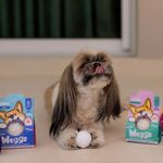 Petisco Weggs Pato Hello Kitty P/cães - Wow 100% Natural