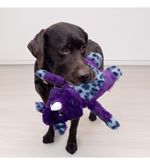 Rinoceronte Roxo/cinza Reforçado Com Sons Diferentes Do Kong Jungle Jamz Plush Dog