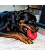 MORDEDOR BORRACHA CACHORRO KONG DONUT LARGE/X-LARGE 