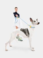 VETRESKA Guia Unificada Cachorro Connect Daisy Hands-Free 
