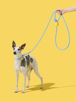 VETRESKA Guia Unificada Cachorro Connect Daisy Hands-Free 
