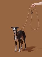 VETRESKA Guia Unificada Cachorro Connect Coffee Hands-Free