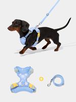 VETRESKA Kit de peitoral e guia Daisy Azul estampa margarida