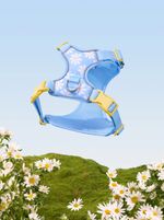 VETRESKA Kit de peitoral e guia Daisy Azul estampa margarida