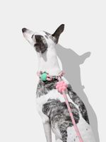 GUIA MAO LIVRE FLORAL VETRESKA CÃO Connect Flora Hands-Free 
