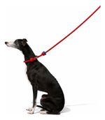 Guia Unificada VETRESKA Strawberry Hands-Free Rope Leash 