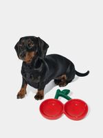 VETRESKA Cherry Ceramic Pet Bowl - Comedouro Cachorro 