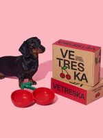 VETRESKA Cherry Ceramic Pet Bowl - Comedouro Cachorro 