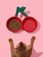 VETRESKA Cherry Ceramic Pet Bowl - Comedouro Cachorro 