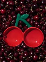 VETRESKA Cherry Ceramic Pet Bowl - Comedouro Cachorro 