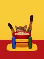 VETRESKA Chroma Ceramic Pet Bowl and Mat Set - P (Pote cão) 