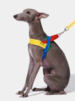 VETRESKA Chroma Kit de peitoral e guia Chroma Amarelo 